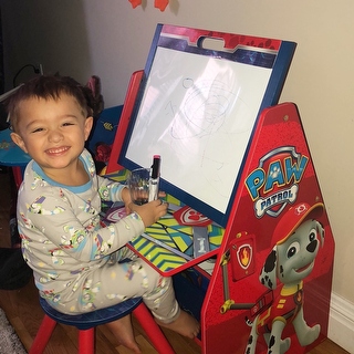 paw patrol activity center